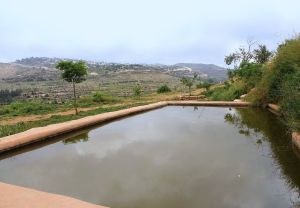 עין לבן: האהוב על הירושלמים